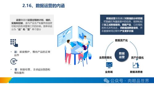 xx集團(tuán)數(shù)據(jù)治理體系建設(shè)方案 數(shù)據(jù)處理及存儲服務(wù)